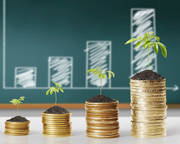 investimento para iniciantes