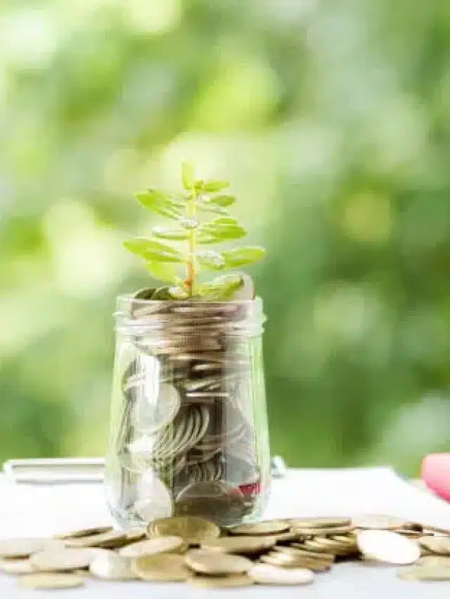 investir educação faculdade compensa